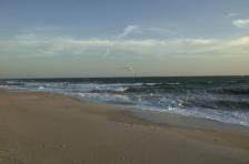 Ocean;Beach;Waves;Shore;Shoreline;Sand;Wet;Water;Sandy;Sea